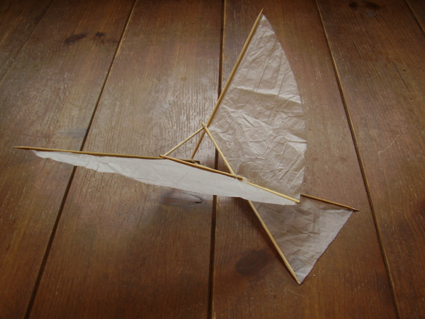 Paper Kite Model